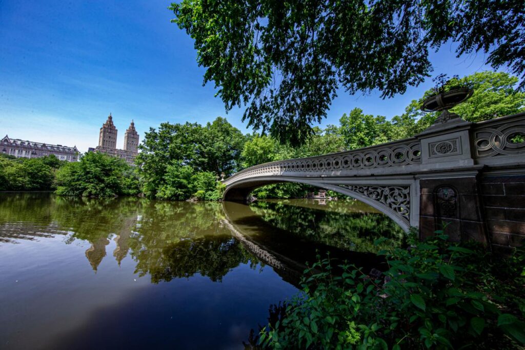 Central Park Ticket Price