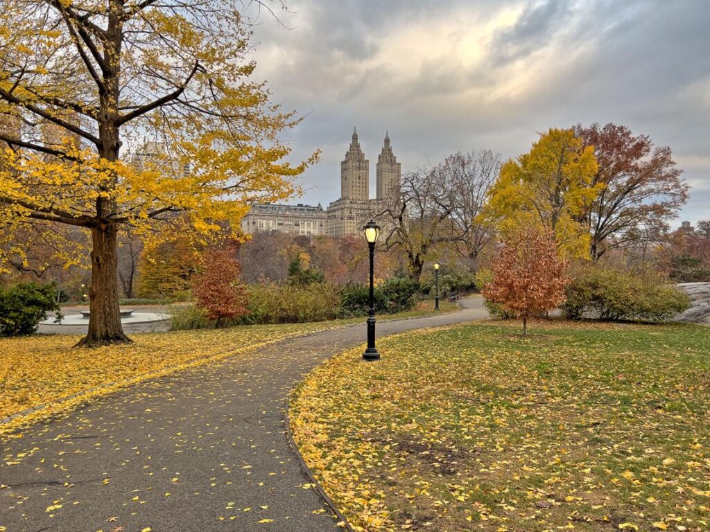 Central Park Ticket Price