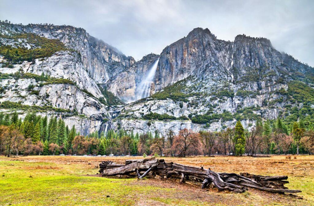 Yosemite National Park Ticket Price