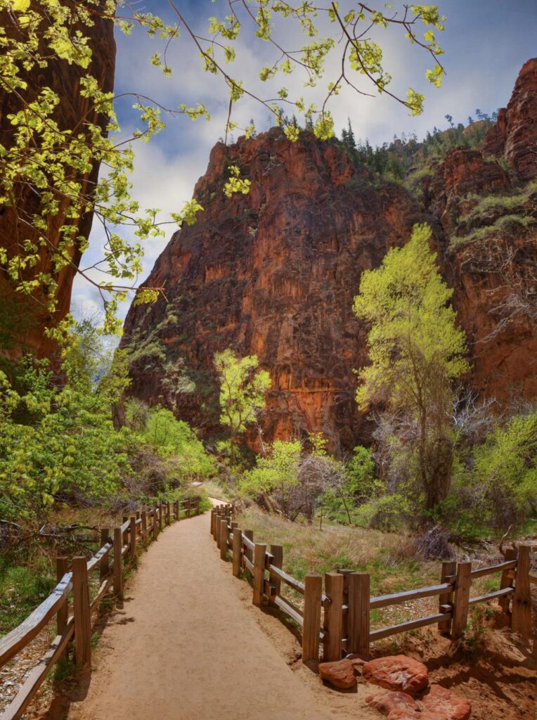 Zion National Park Ticket Price